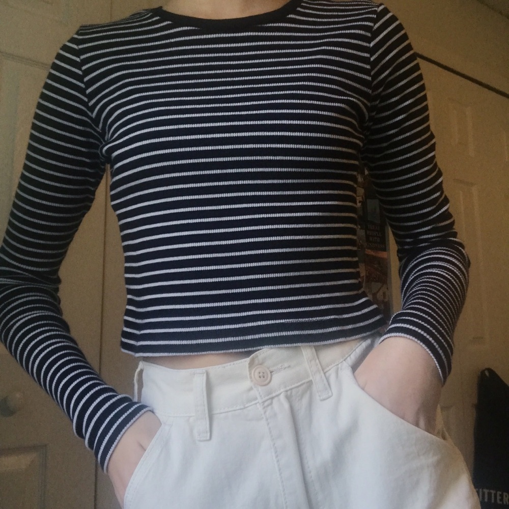 Brandy Melville Long Sleeved Crop Top